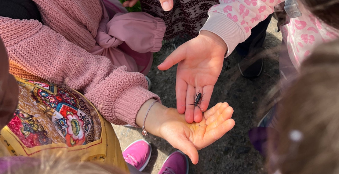 Ausflug ins Naturschutzgebiet