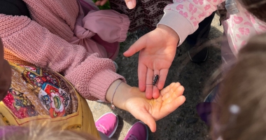 Ausflug ins Naturschutzgebiet